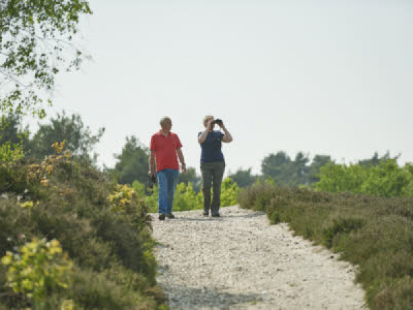 Walk with the Ranger