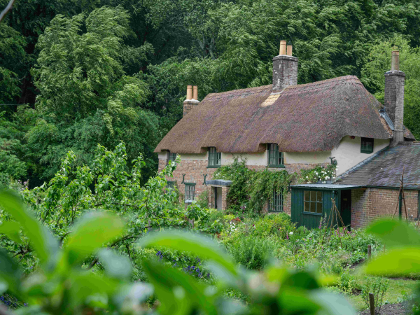 Hardy's Cottage (dates from 25 June onwards)