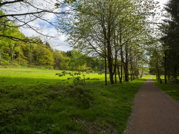 Mose Restoration Walk