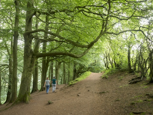 Guided Walk - Mindfulness Walk