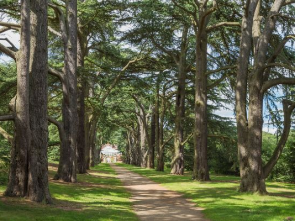 Wild Flow & Creative Nature Lab, Yoga & Craft for 9 -12 year olds
