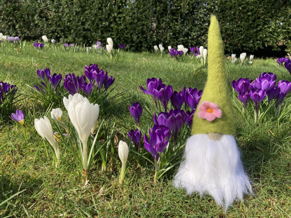 Needle Felting workshops: Blossom Tomte