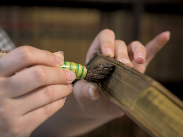 Hidden Treasures: Caring for Quarry Bank’s Collection