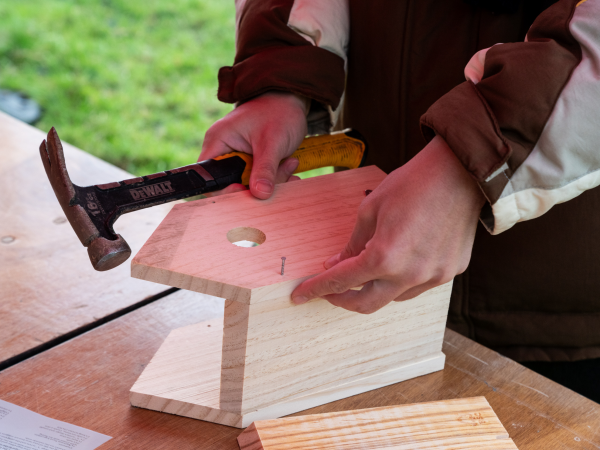 Bird Box Making at Tinkley Gate