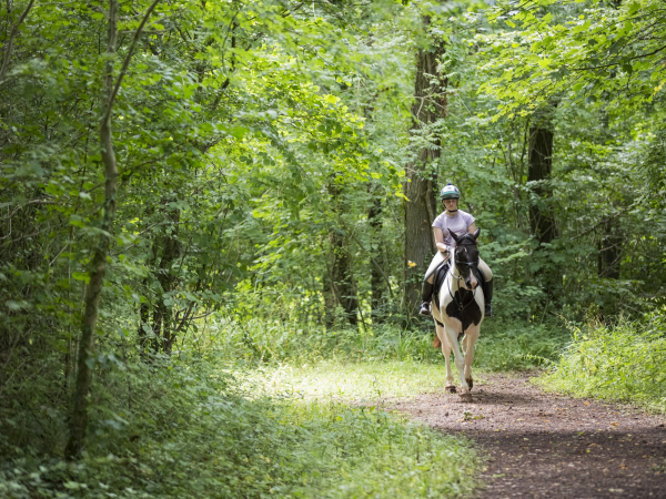 Killerton Horse Riding & Bridleway Information Evening