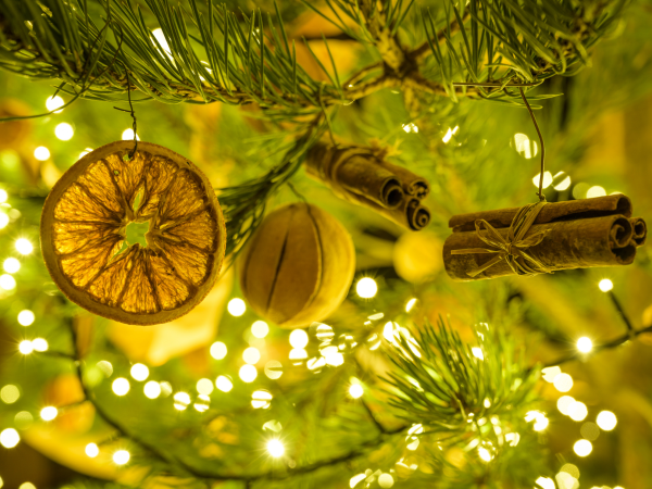 Naturemake: Magical Festive Crafting Workshop