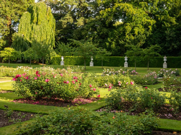 Yoga in the Rose Garden