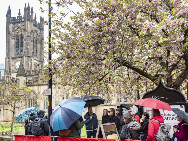 Blossom & Bloomtown: Stories in Bloom Poetry Walk (Heaton Park)