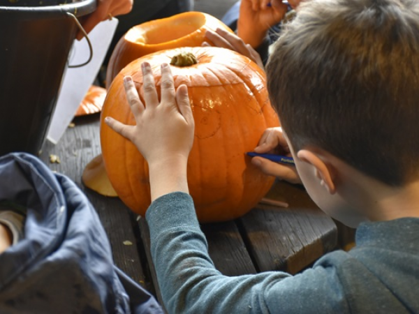 Halloween Gourd and Turnip Carving