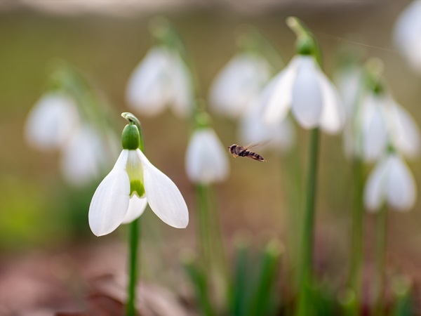 Delve into Dimminsdale Nature Reserve
