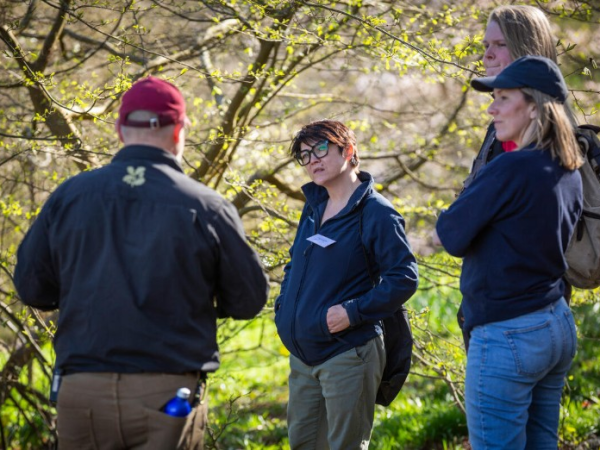 Volunteer 'Try it' Sessions