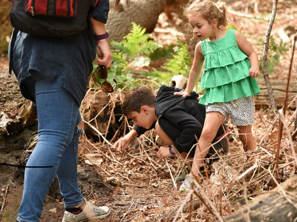 Way of the wild - Bushcraft taster sessions