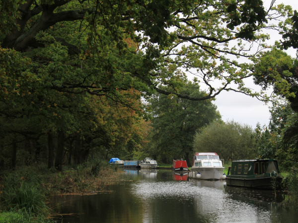 Guided walk: Triggs with David Rose