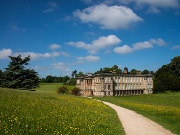 Calke through the lens guided walk
