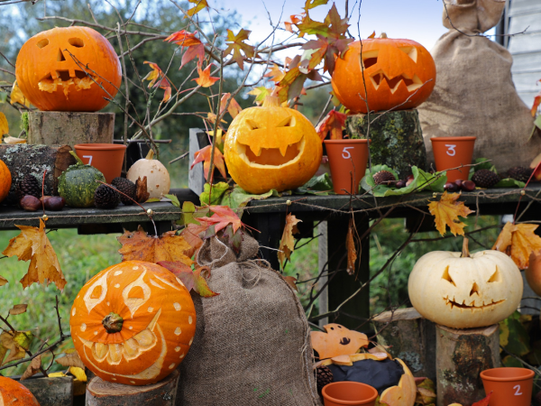 Halloween Pumpkin Carving