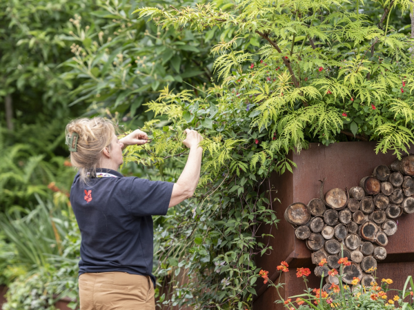 Sow the City’s Social and Therapeutic Horticulture Course