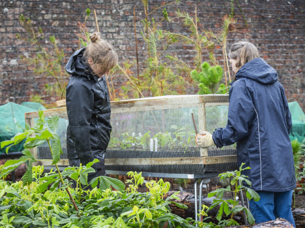 Raising Plants from Seed Spring Masterclass