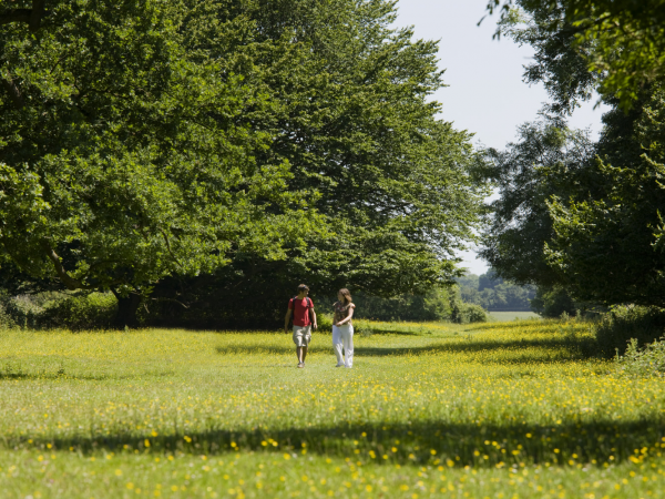 Walk with Us - Hatfield Forest