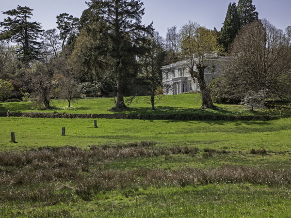 Conservation Volunteering Drop-in Day: save Parke's orchids