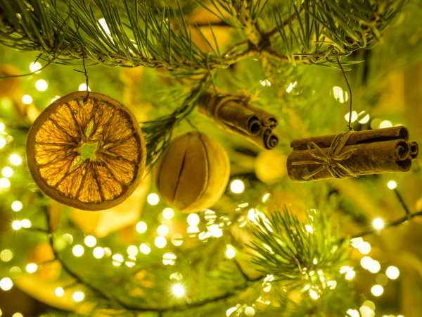 Festive Knights’ Banquet