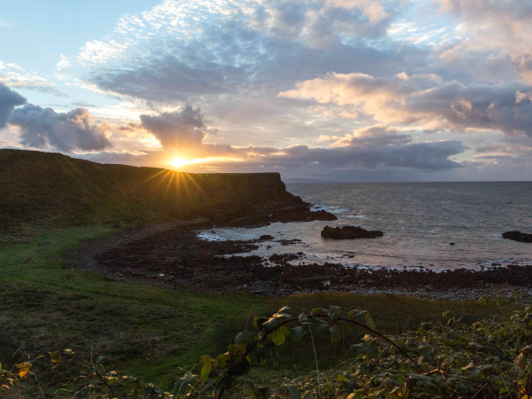 Twilight Tour and Truffles: An Exclusive Giant's Causeway Experience