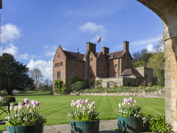 Every Bunny is a Yoga Bunny - Easter workshop