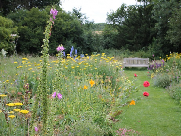 Garden Tour: William Morris