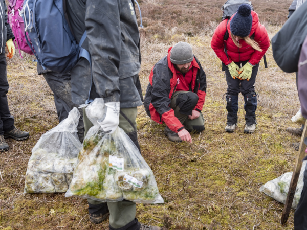 Community sphagnum planting - Marsden Moor