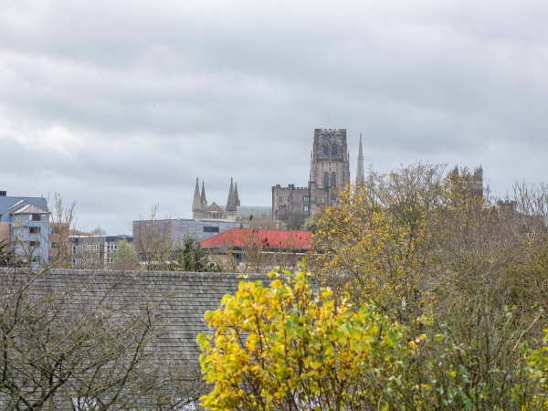Guided walk: Crook Hall Gardens to the Oriental Museum