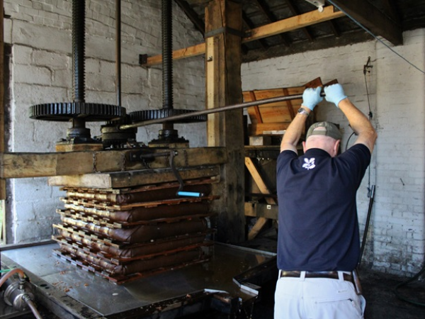 Celebrating Orchards: Walk and Apple Press Demonstration