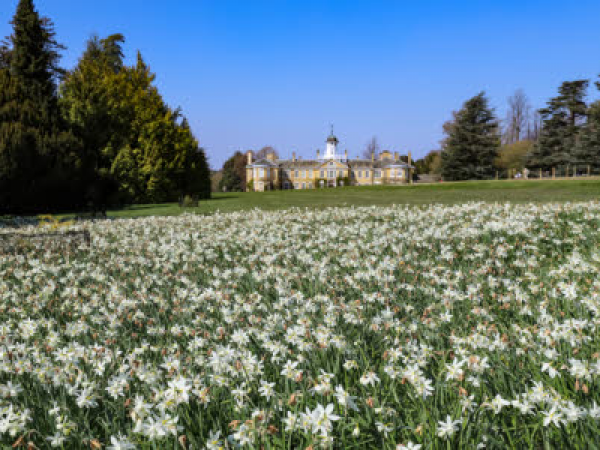 Spring Wreathmaking - Polesden Lacey