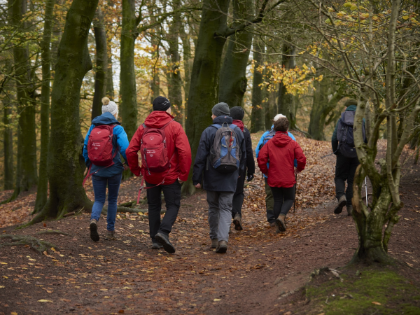 Guided Walk - New Year's Day Walk - Clent Hills