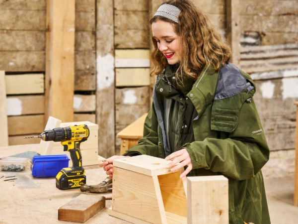 Build your own bird / bat box event