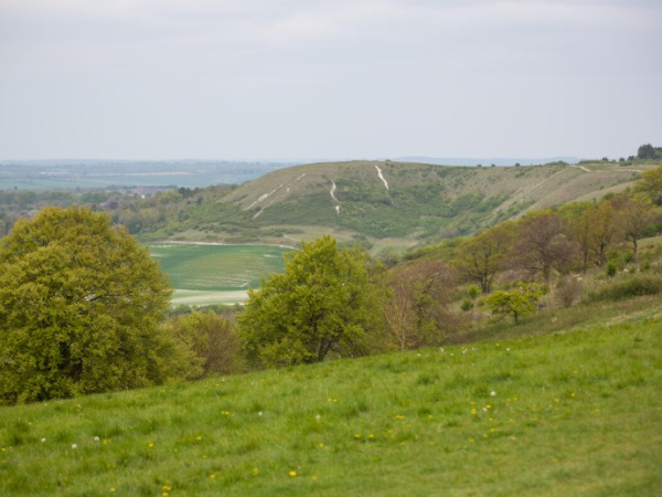 Guided family exploration walk