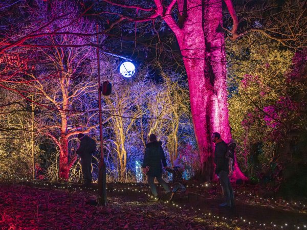 Winter at Sizergh - December dates