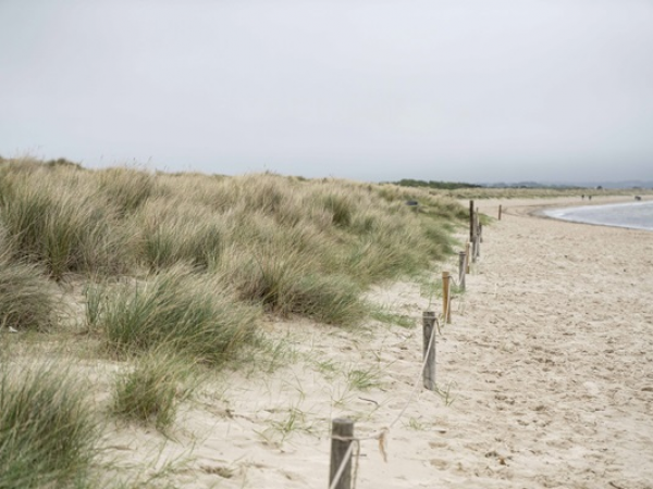 Discovering WWII at Studland Walk - The Anti-invasion Defences 1939-42