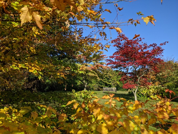 Autumn Festival: Photography Workshop
