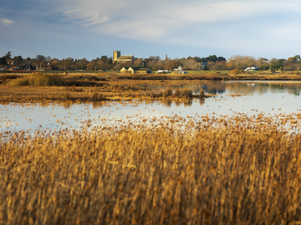 Birds and Beasts walk