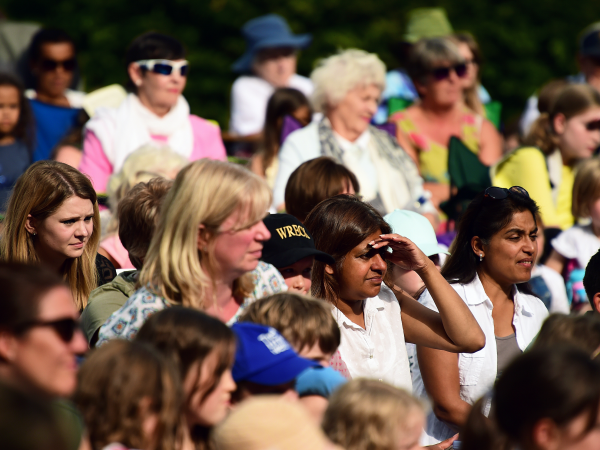 Outdoor Theatre: Wind in the Willows - Croft Castle and Parkland