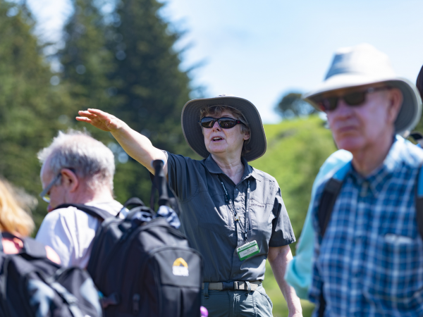Bird Walk at Knole