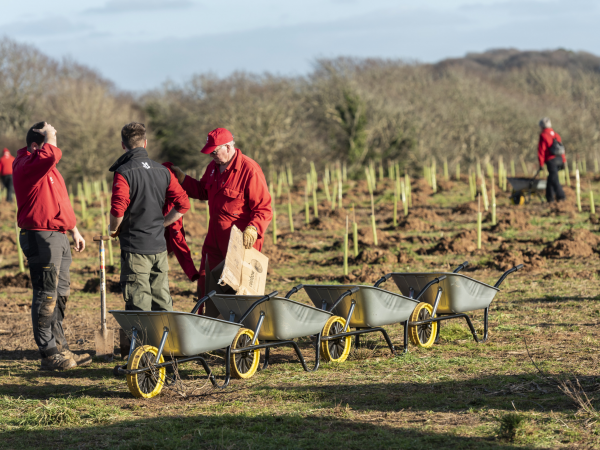 Tree planting at Penrose this Winter