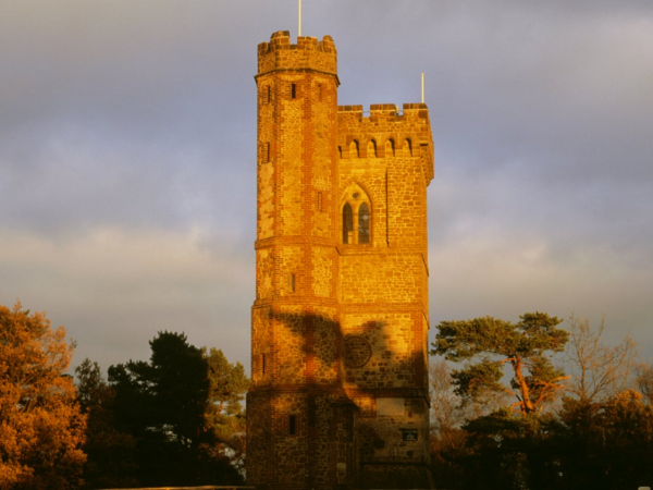 Leith Hill Tower